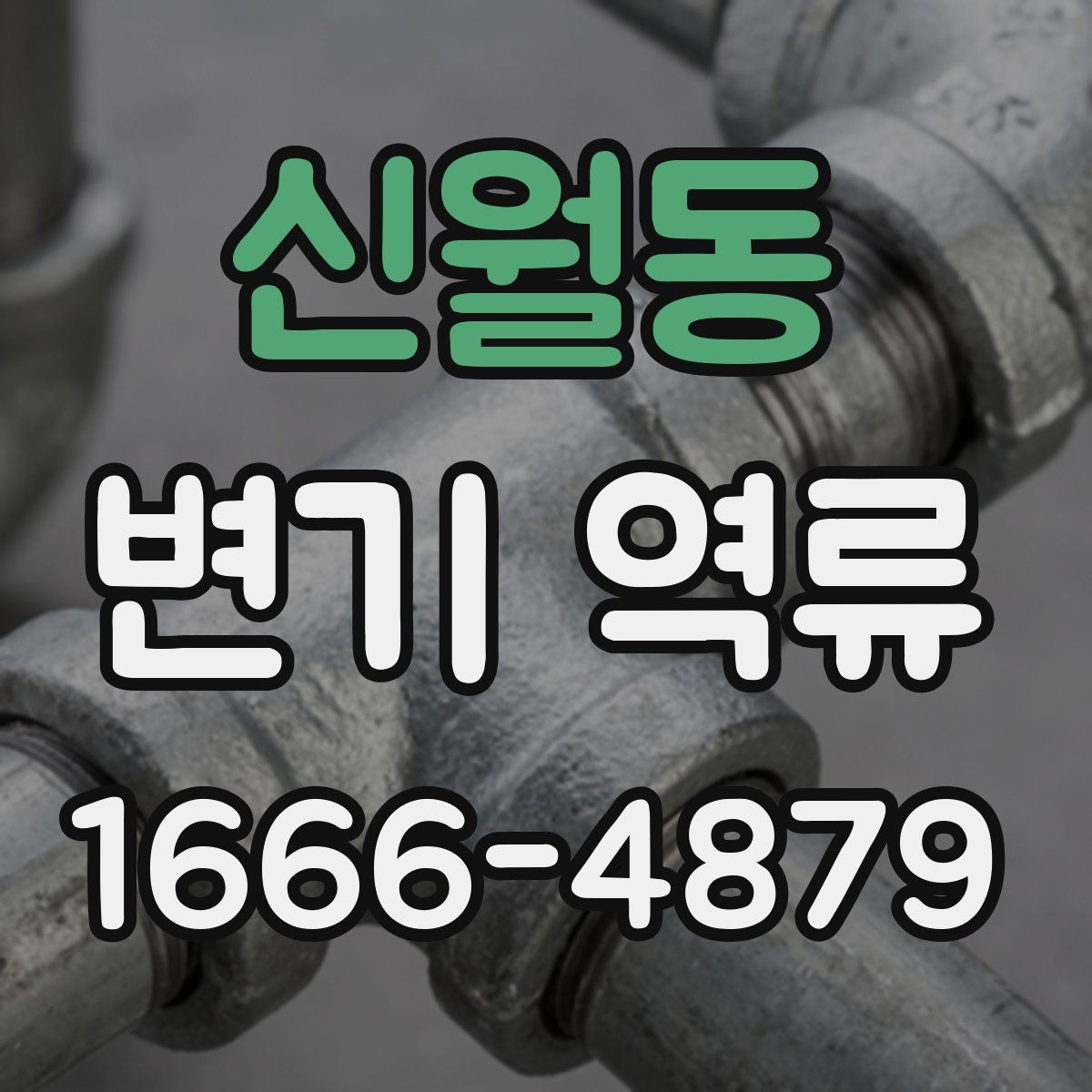 신월동 변기 역류