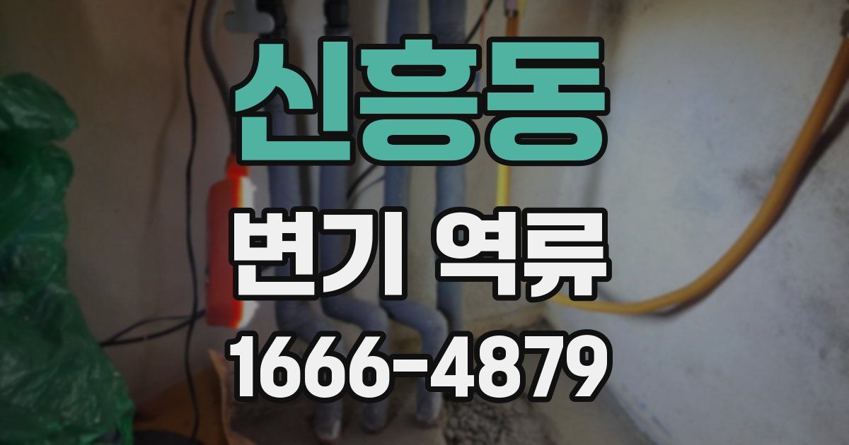 신흥동 변기 역류