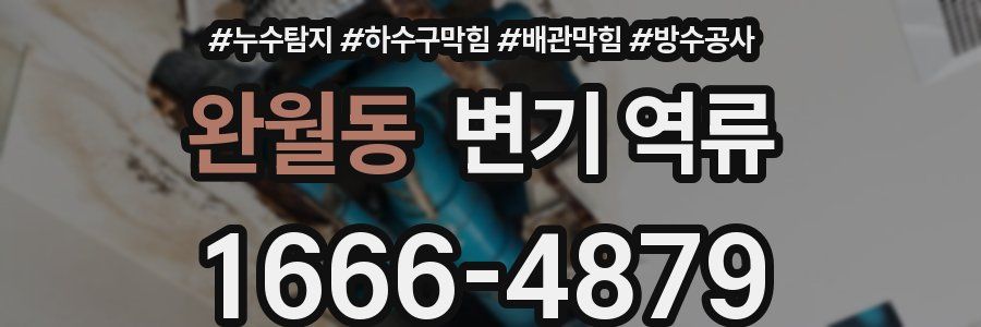 완월동 변기 역류