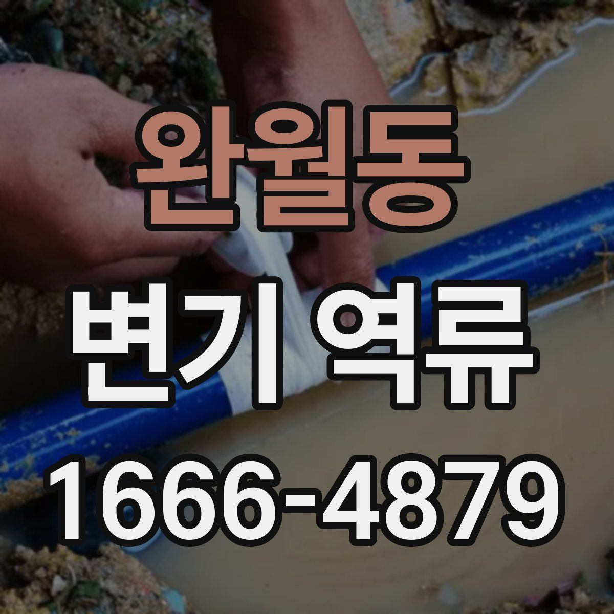 완월동 변기 역류