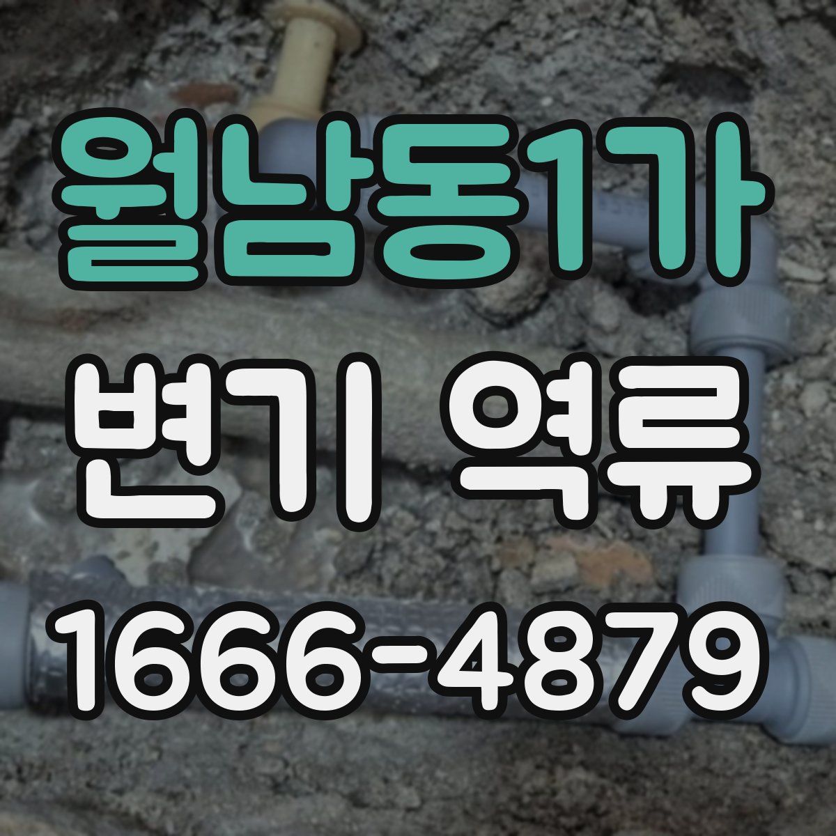 월남동1가 변기 역류