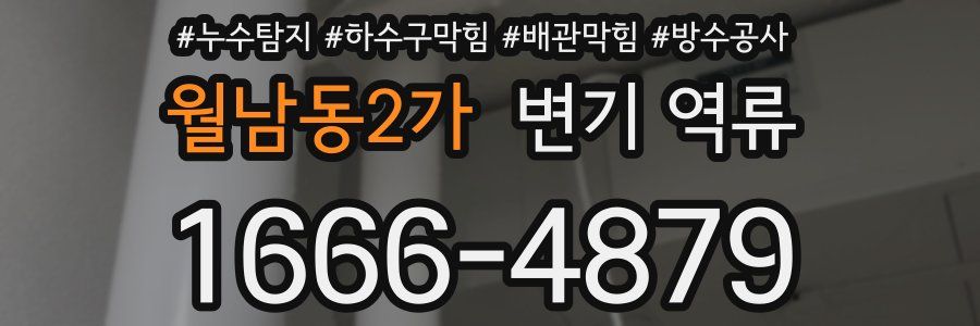 월남동2가 변기 역류