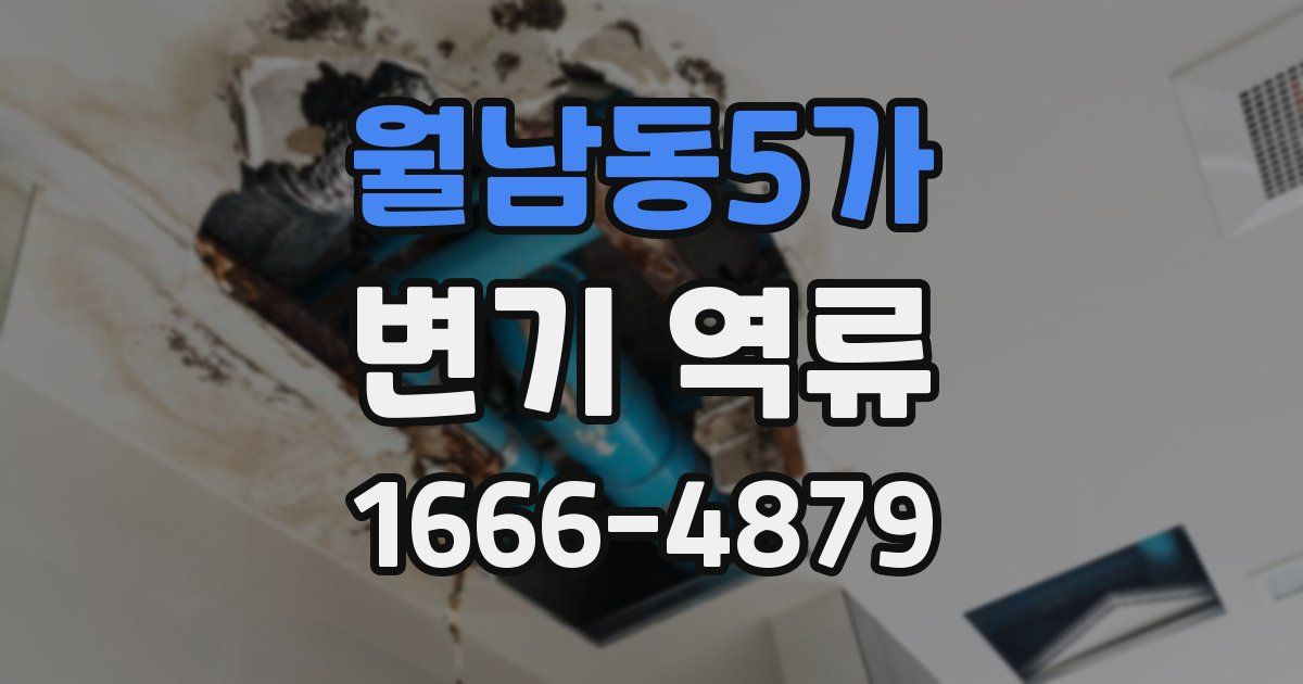 월남동5가 변기 역류