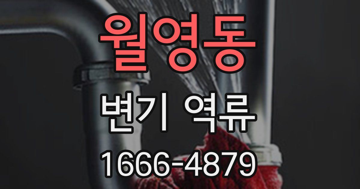월영동 변기 역류