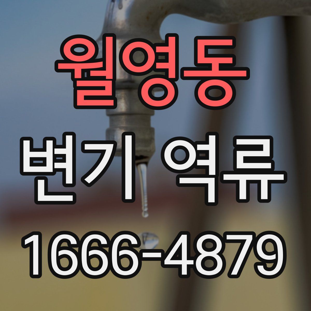 월영동 변기 역류