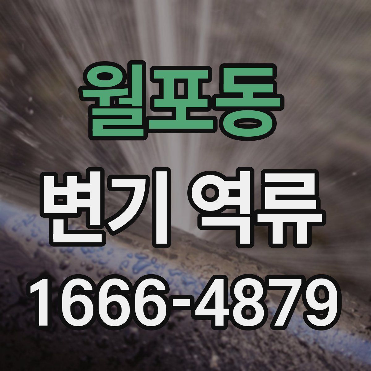월포동 변기 역류