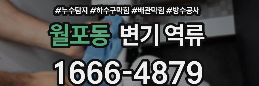 월포동 변기 역류