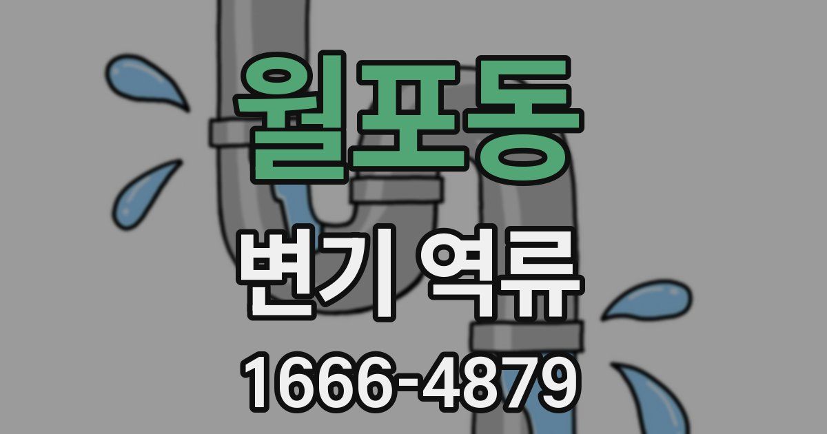 월포동 변기 역류