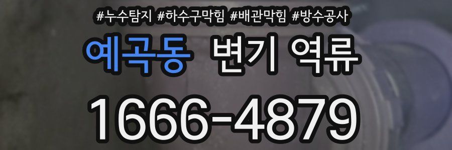 예곡동 변기 역류