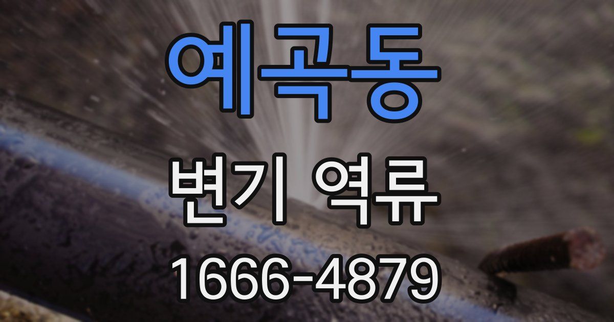 예곡동 변기 역류