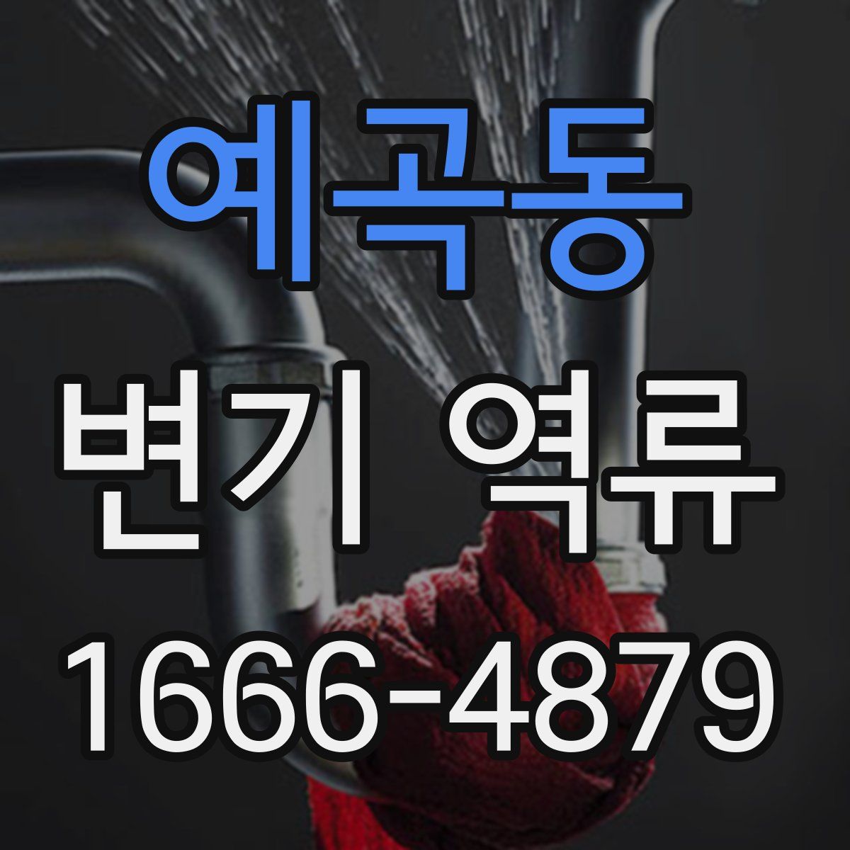 예곡동 변기 역류