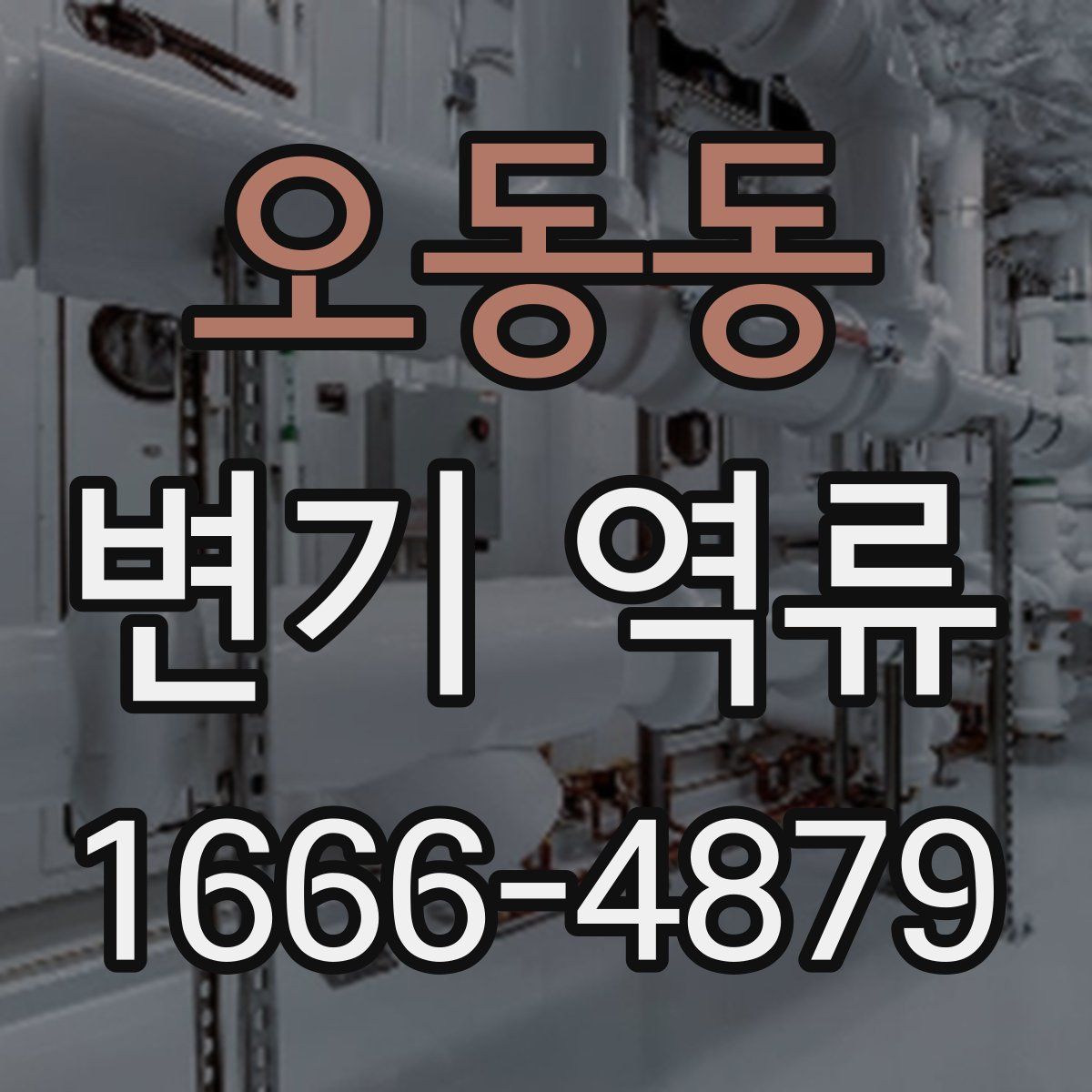 오동동 변기 역류