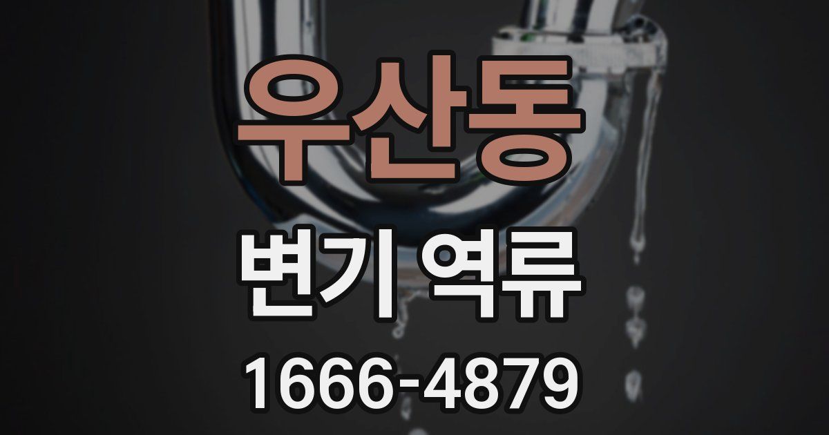 우산동 변기 역류