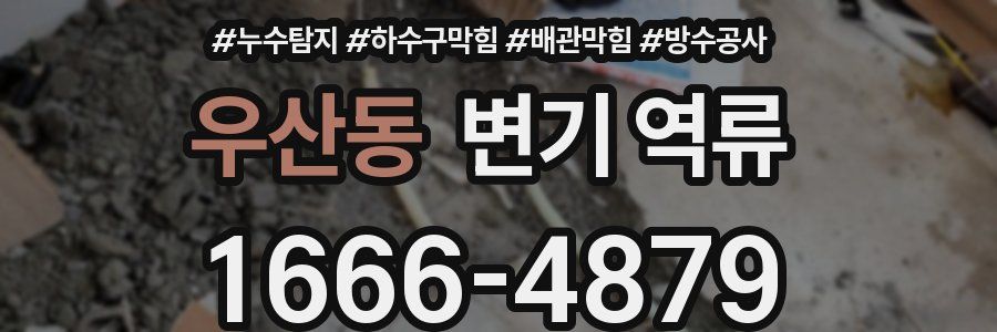 우산동 변기 역류