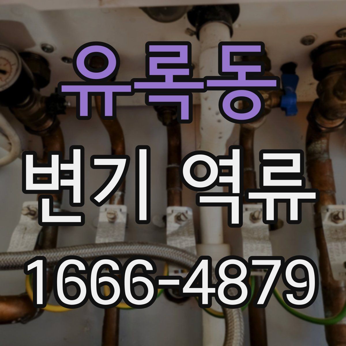 유록동 변기 역류 원인을 놓치지 않는 체크 방법