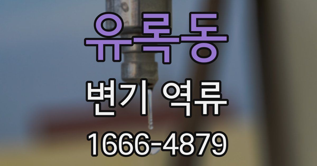 유록동 변기 역류