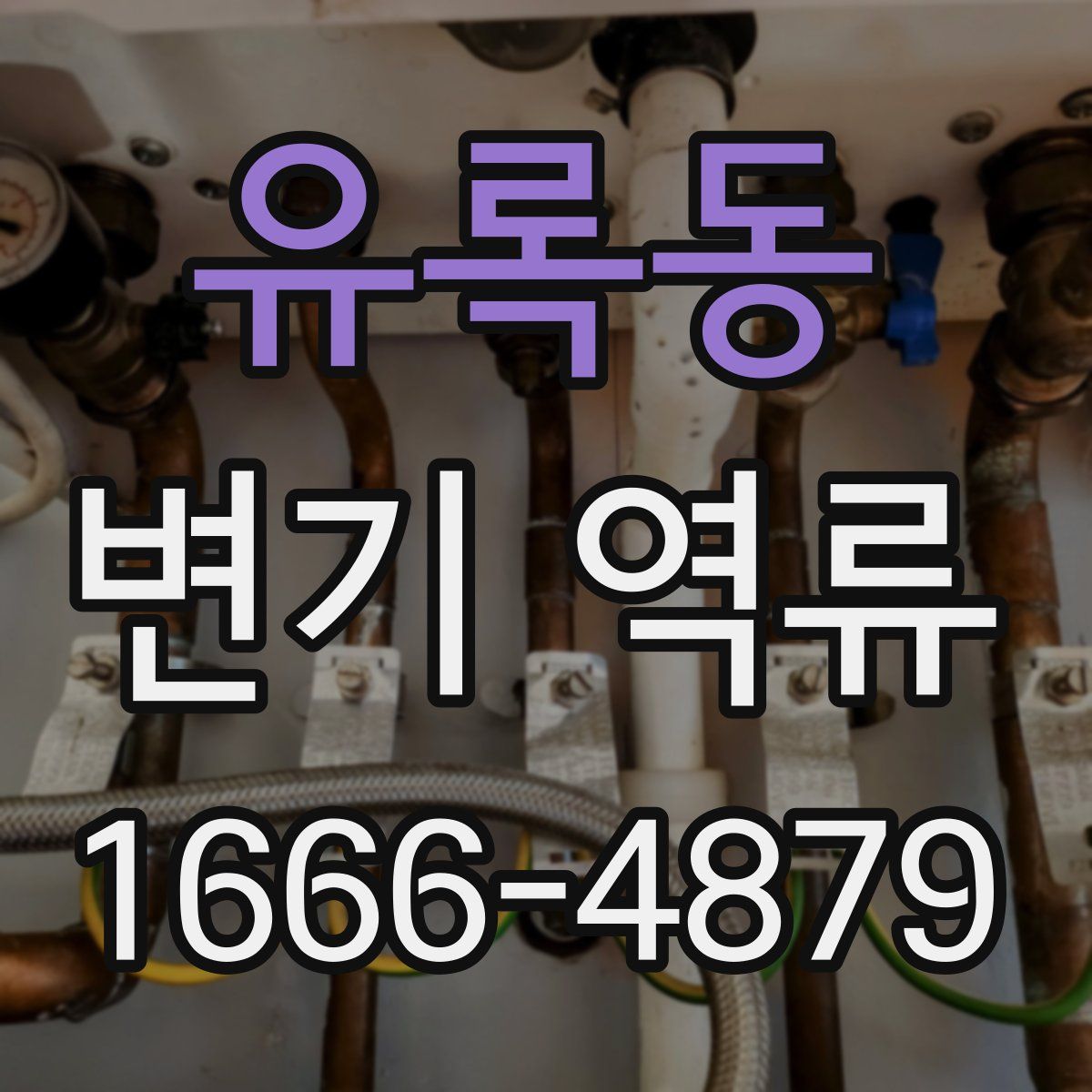 유록동 변기 역류