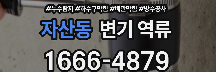 자산동 변기 역류