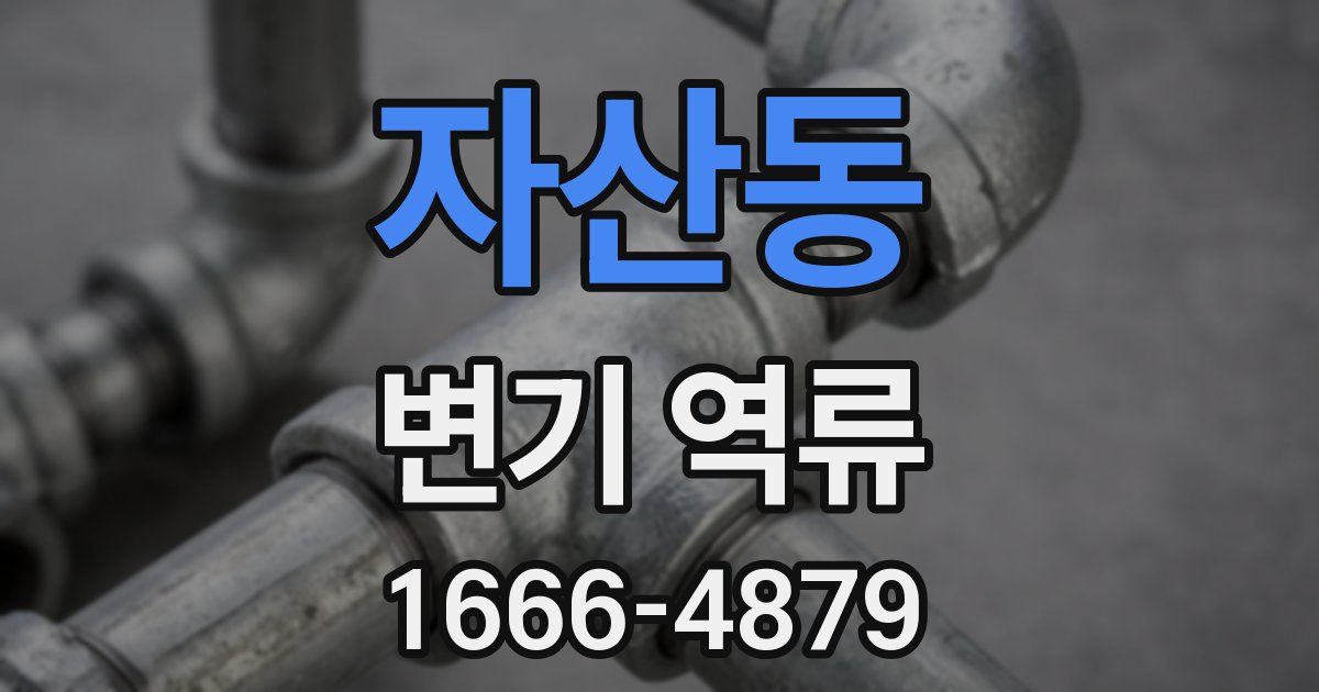 자산동 변기 역류