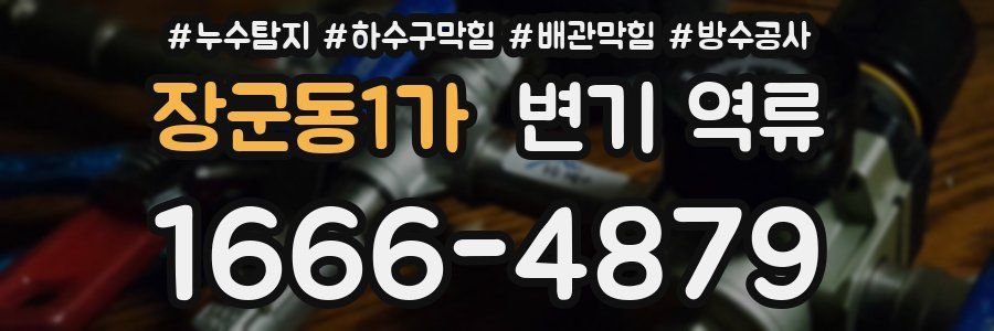 장군동1가 변기 역류
