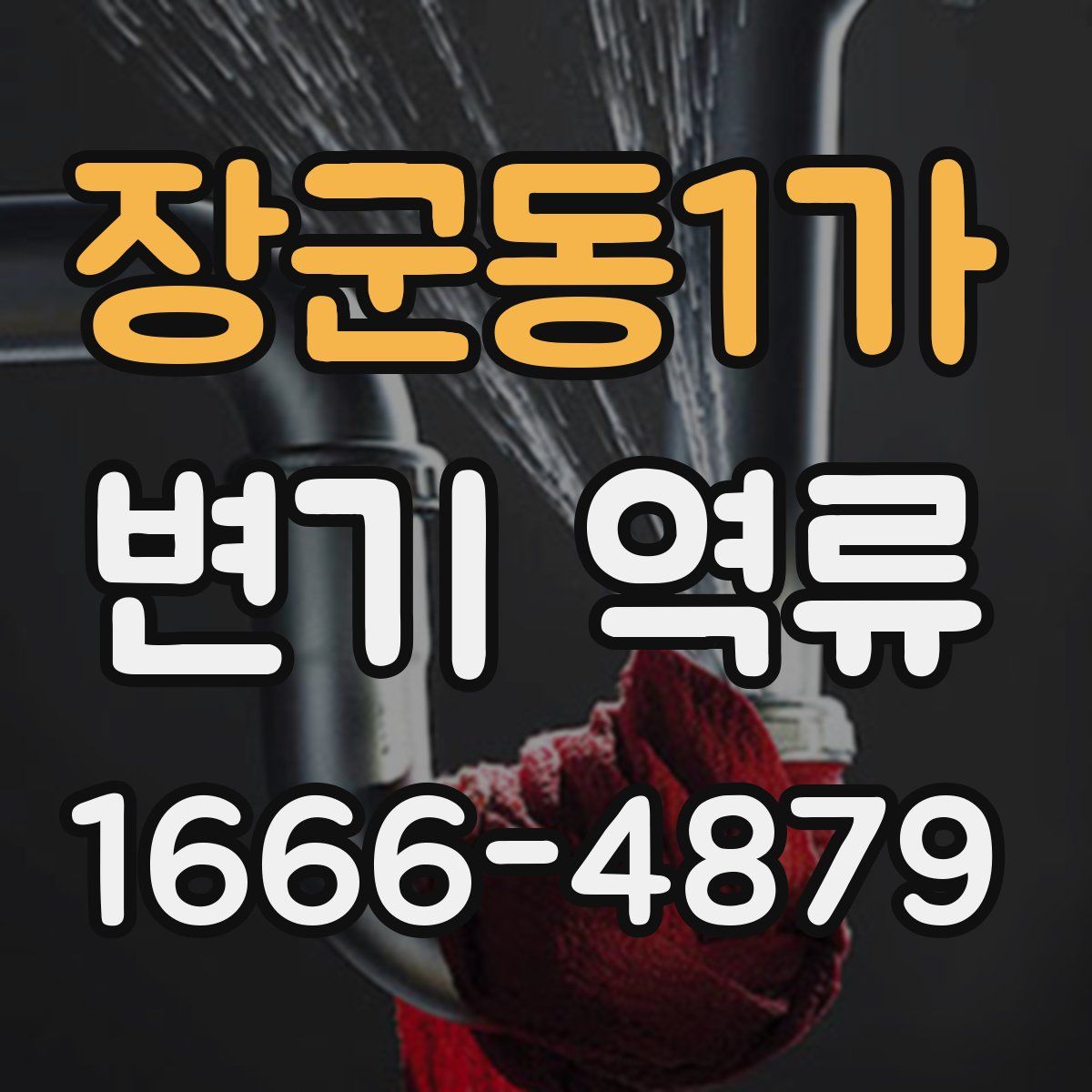 장군동1가 변기 역류