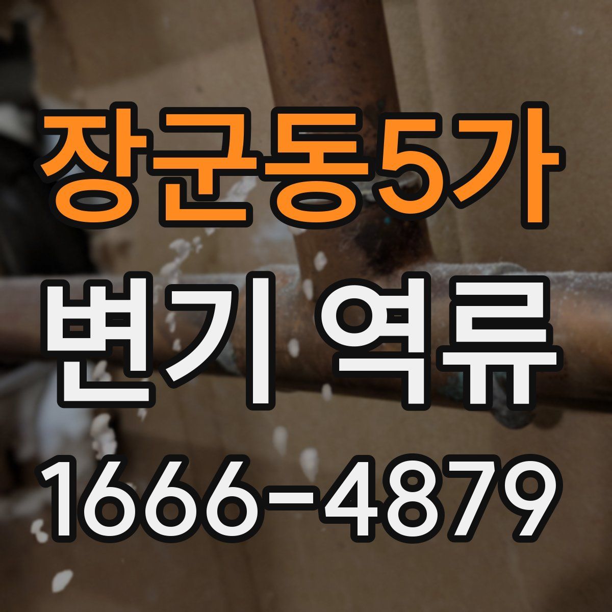 장군동5가 변기 역류