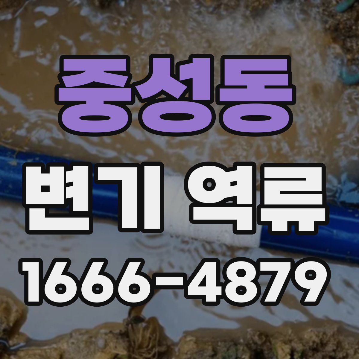 중성동 변기 역류