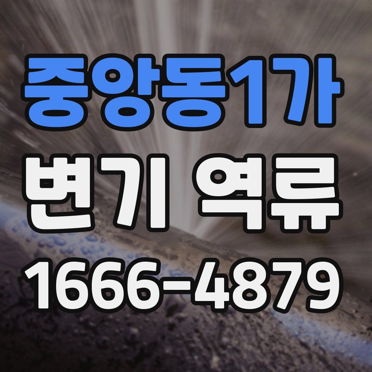 중앙동1가 변기 역류