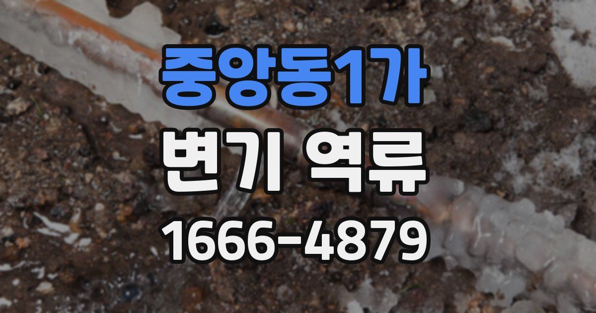 중앙동1가 변기 역류