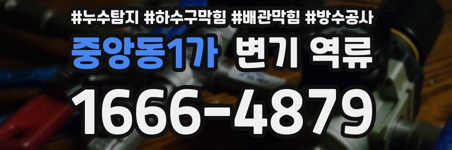 중앙동1가 변기 역류