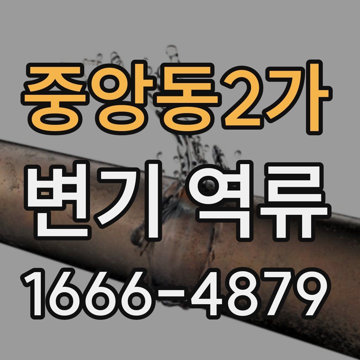 중앙동2가 변기 역류 수리 비용 전에 확인할 것