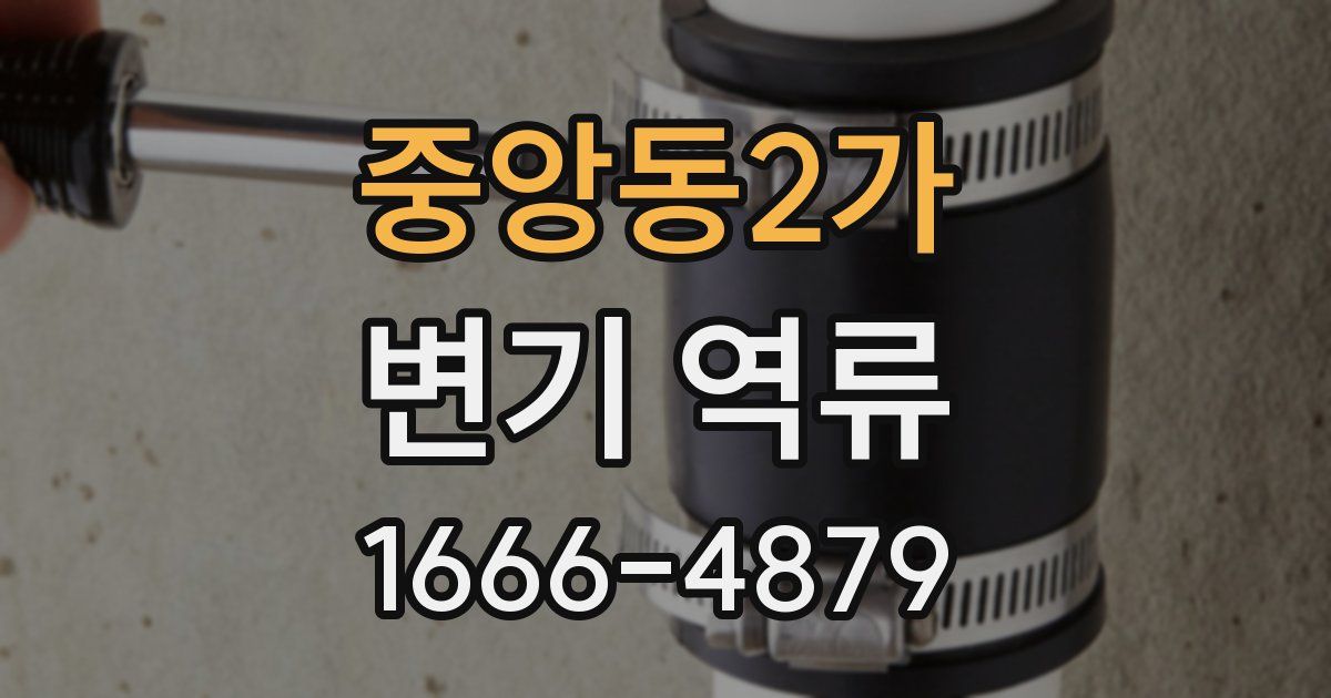 중앙동2가 변기 역류