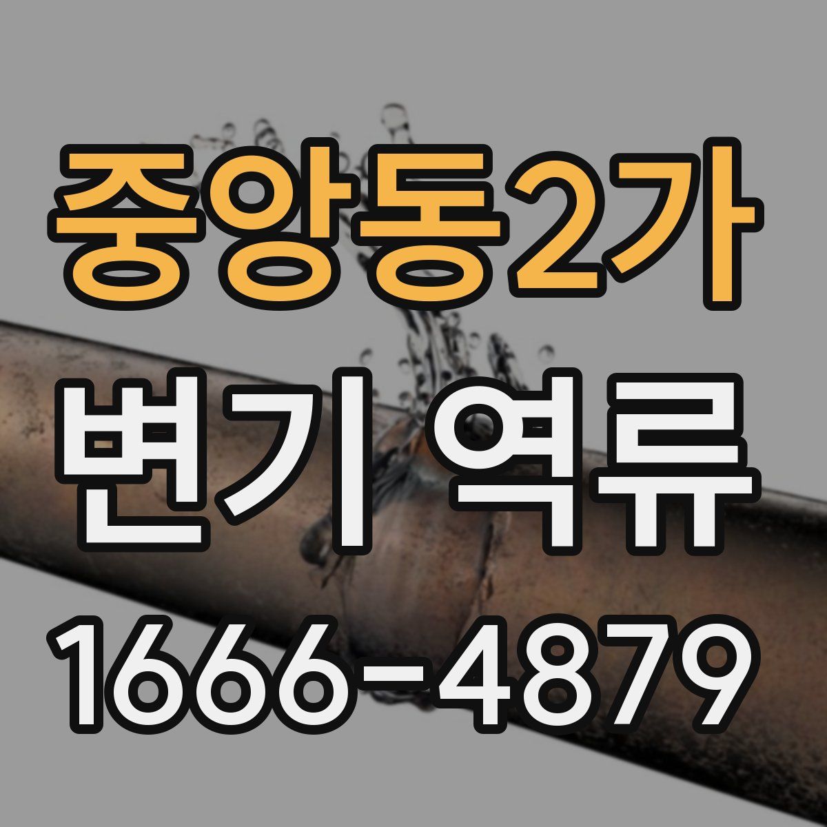 중앙동2가 변기 역류