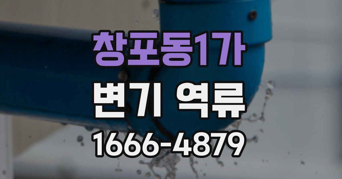 창포동1가 변기 역류