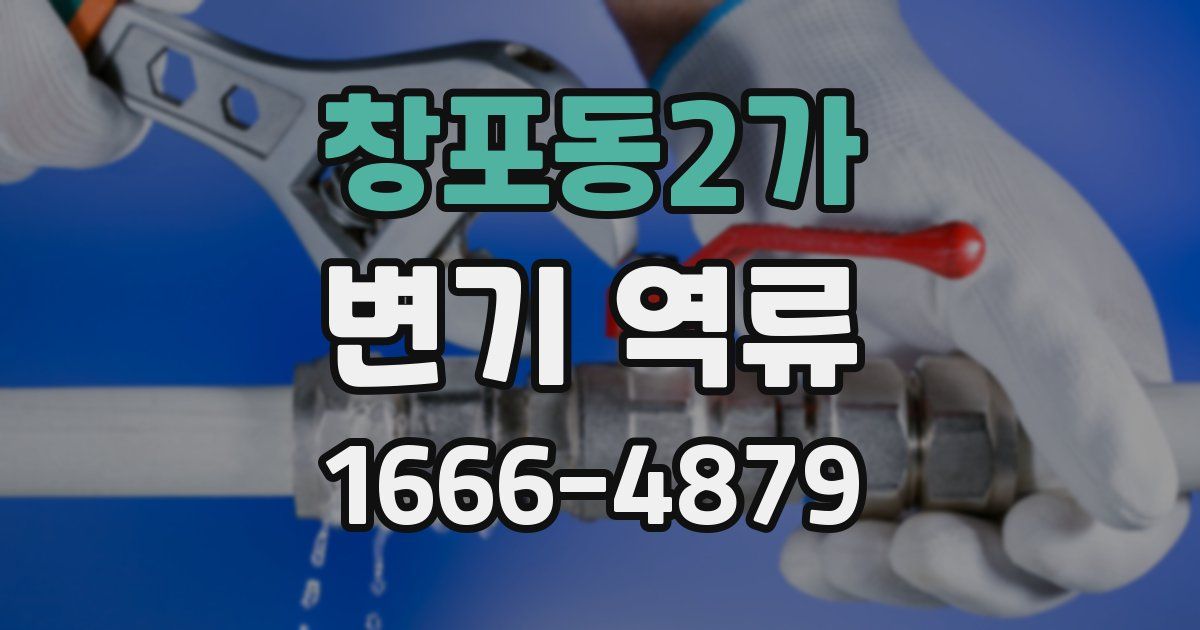창포동2가 변기 역류