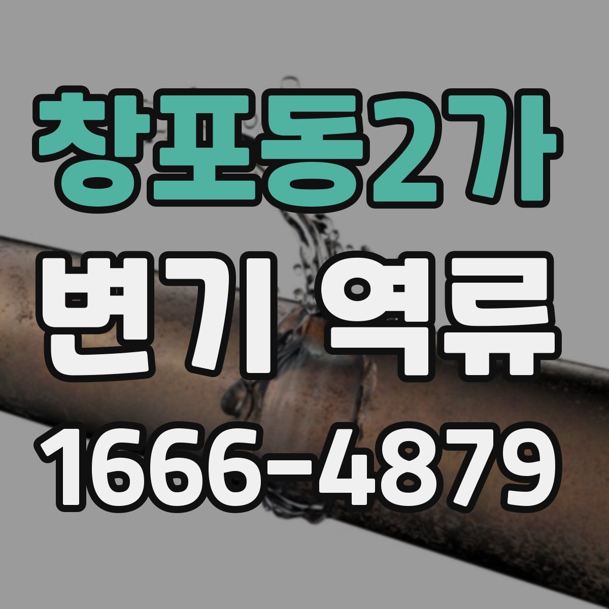 창포동2가 변기 역류