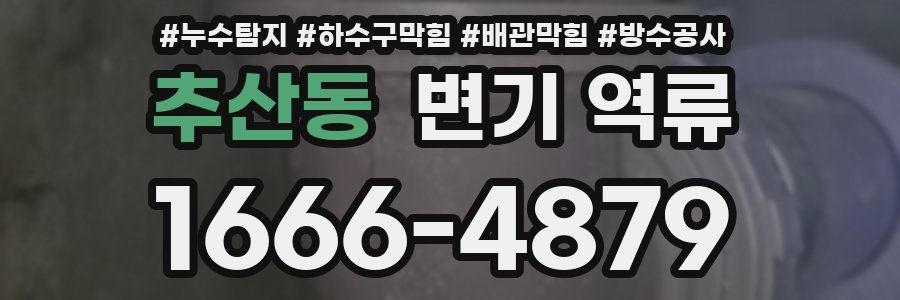 추산동 변기 역류