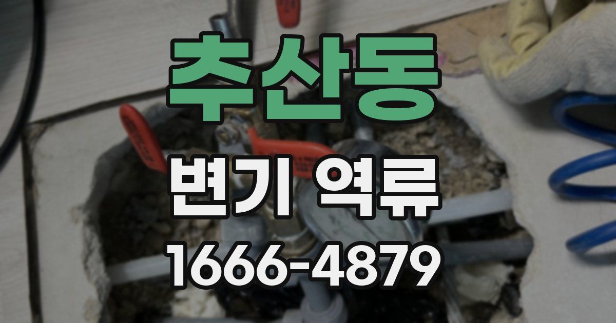추산동 변기 역류