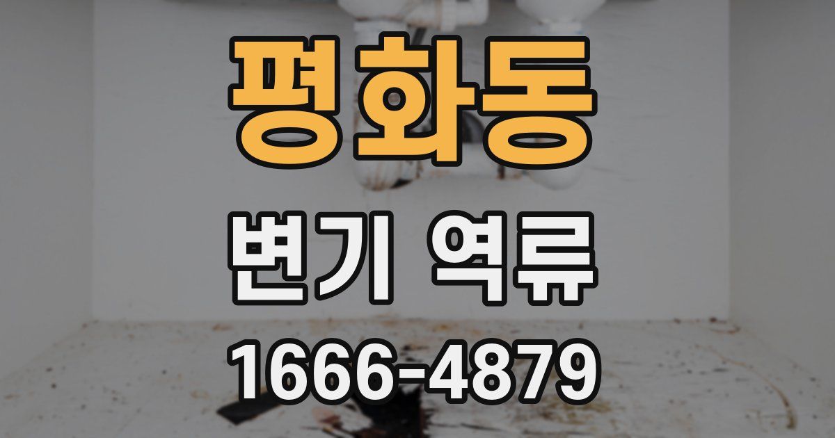 평화동 변기 역류