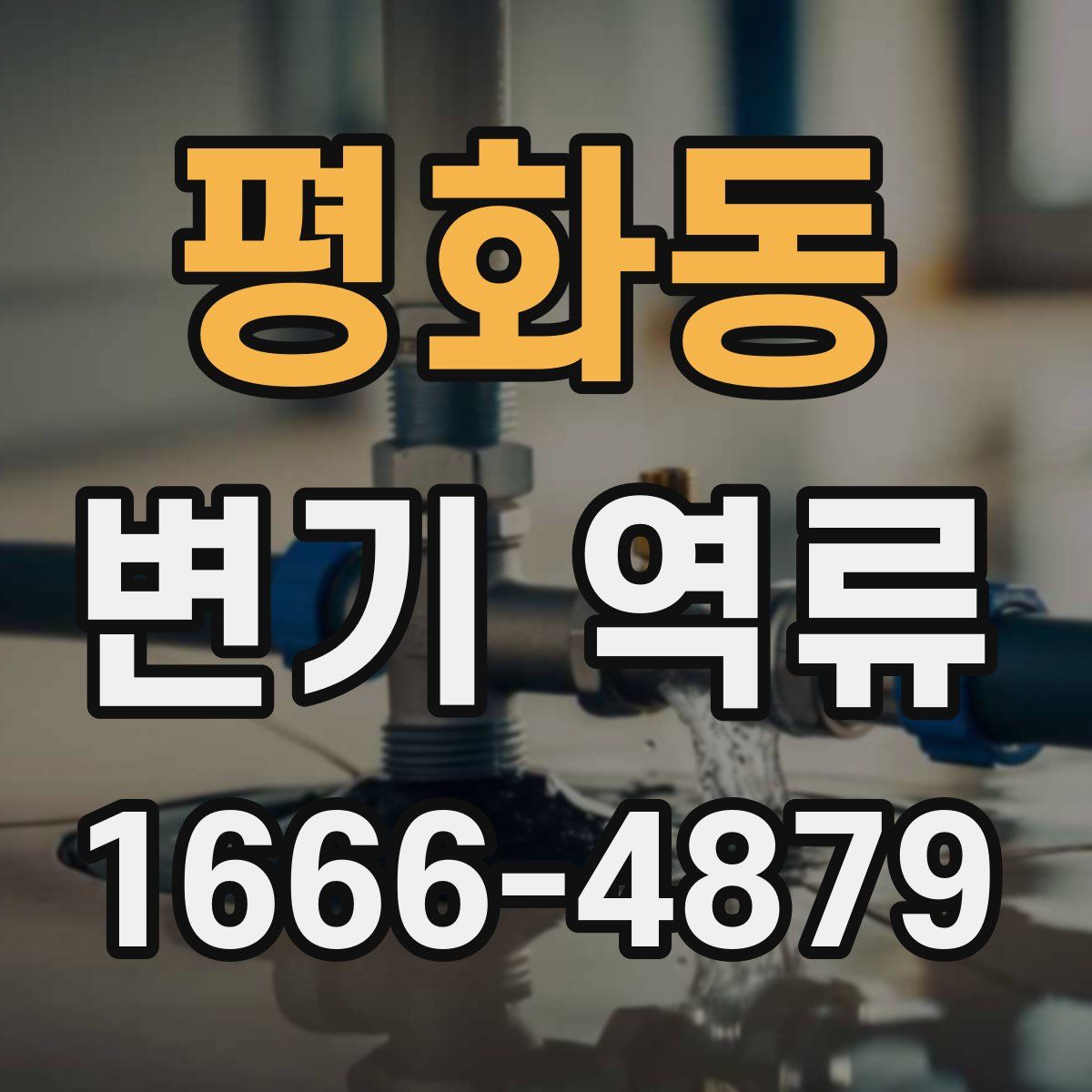 평화동 변기 역류