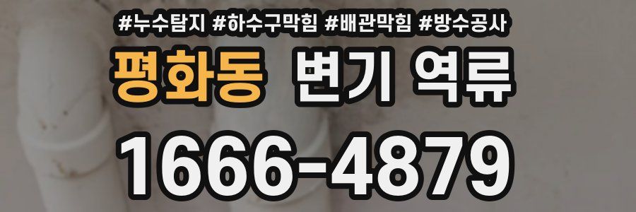 평화동 변기 역류