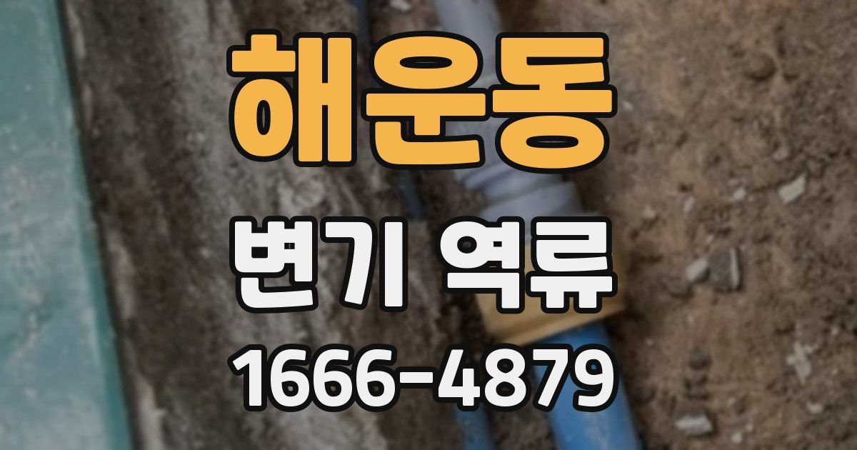 해운동 변기 역류