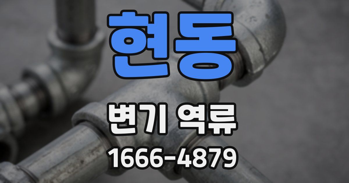 현동 변기 역류