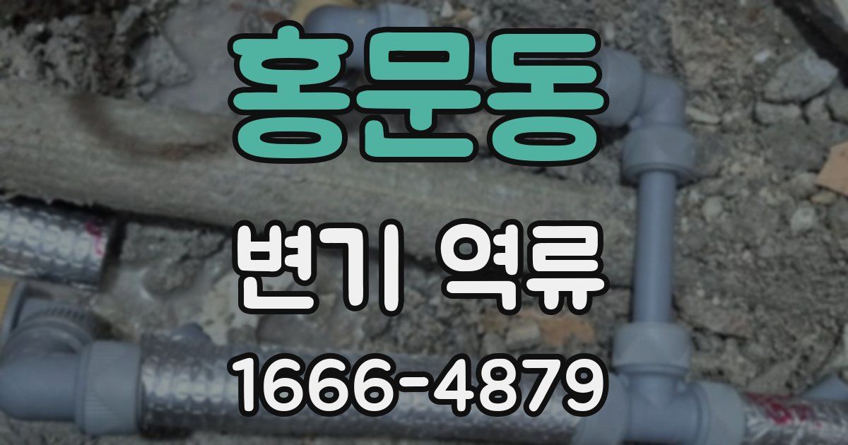 홍문동 변기 역류