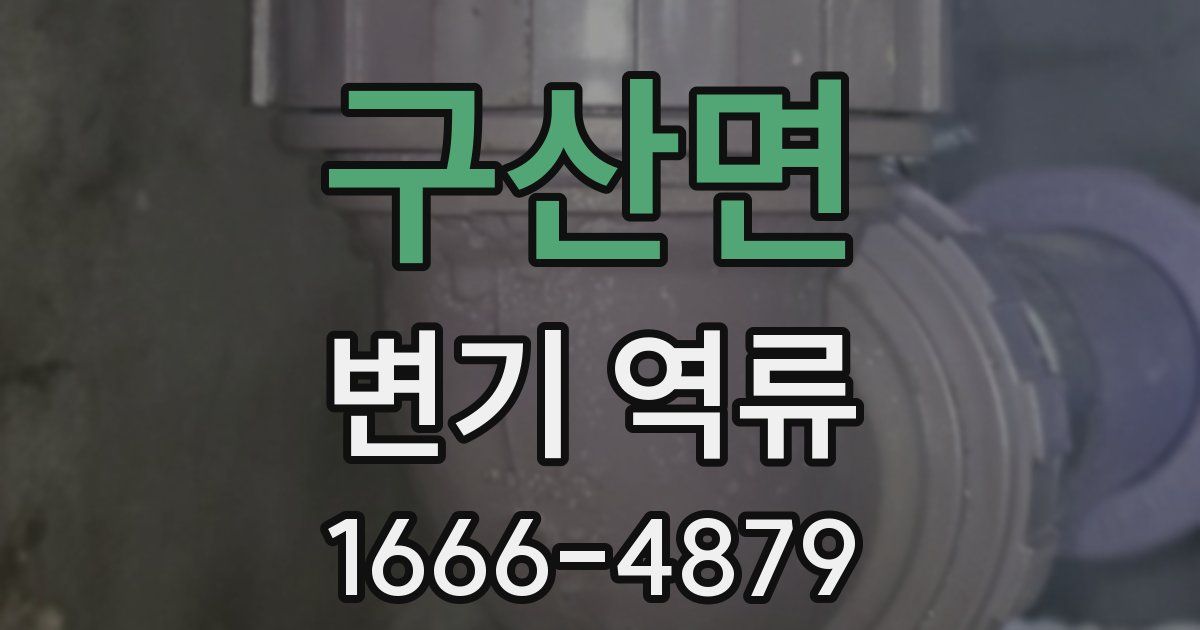 구산면 변기 역류
