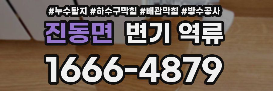 진동면 변기 역류