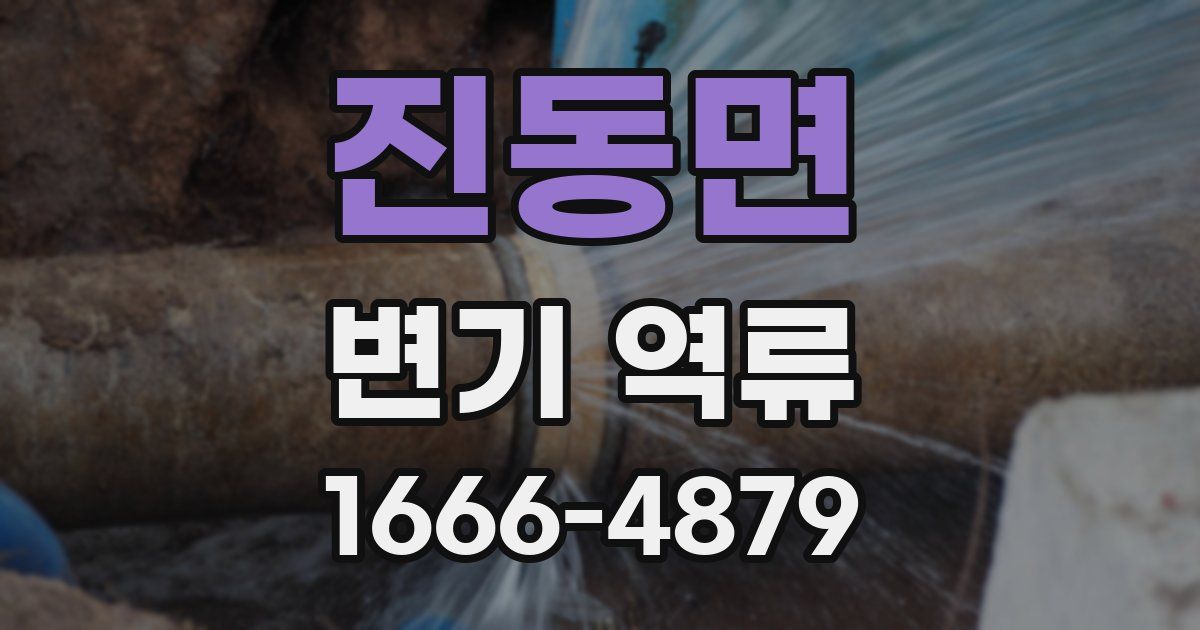 진동면 변기 역류