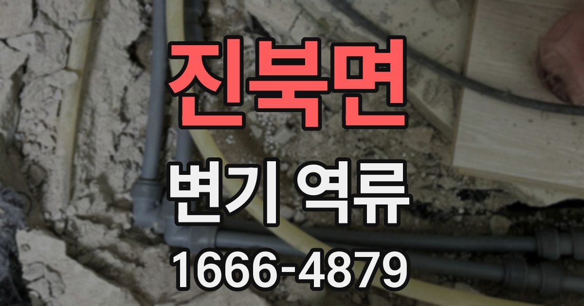 진북면 변기 역류