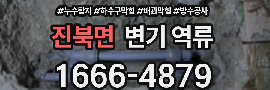 진북면 변기 역류