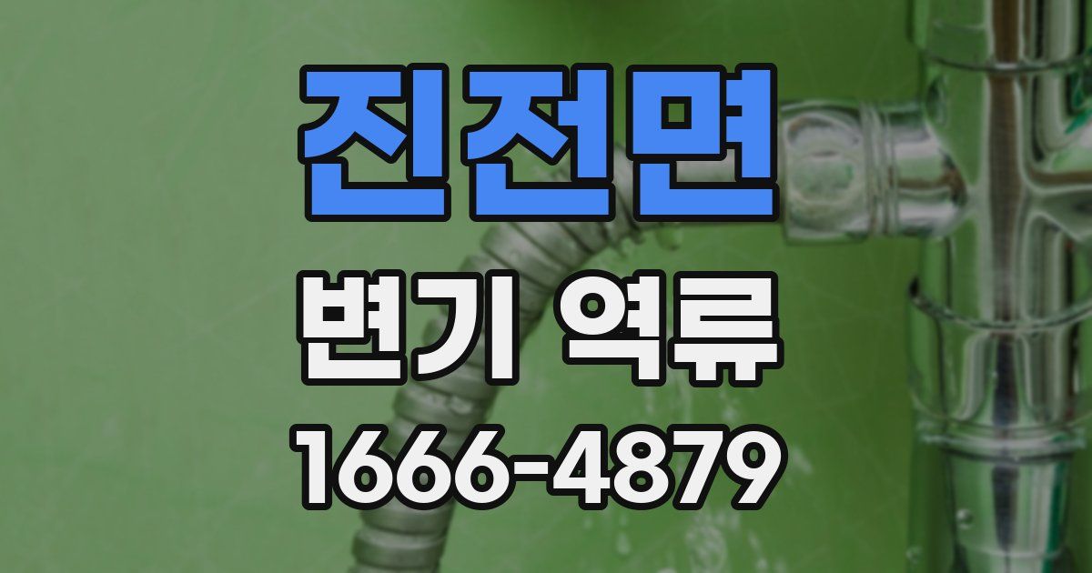 진전면 변기 역류